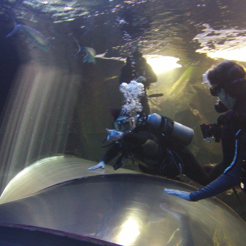 Meet your Posher, Victoria